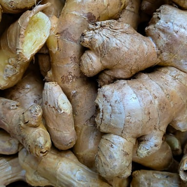 Inulin Prebiotic